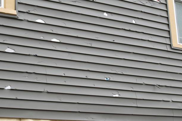 Best Siding Replacement  in Booker, TX